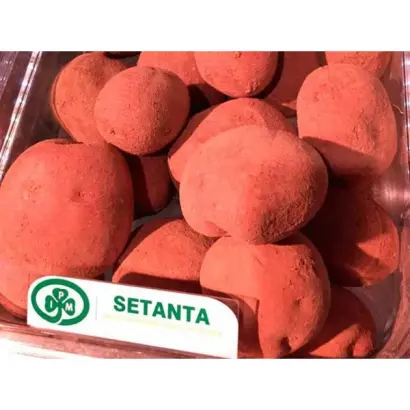 Setanta / Сетанта