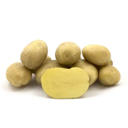 Седневский ранний / Сєднєвська рання