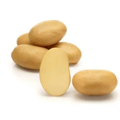 Taisiya / Таїсія