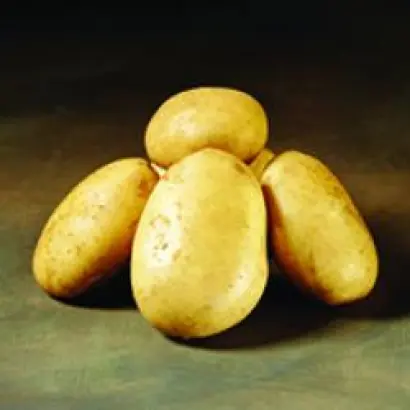 Folva / Фольва