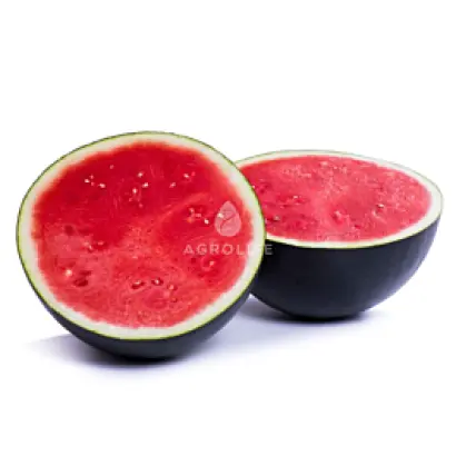 Amaltea / Амалтея