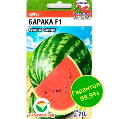 BARAKA / БАРАКА