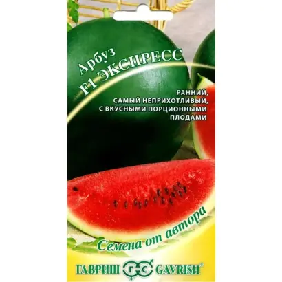 EXSPRESSION / ЕКСПРЕССІОН