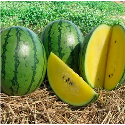 YELLOW LOVE / ЄЛОВ ЛАВ