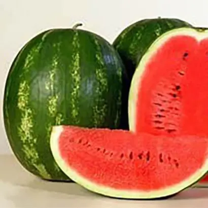 Karistan F1 / Карістан F1