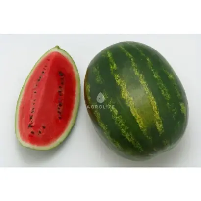 Crimson Ruby / Крімсон Рубі