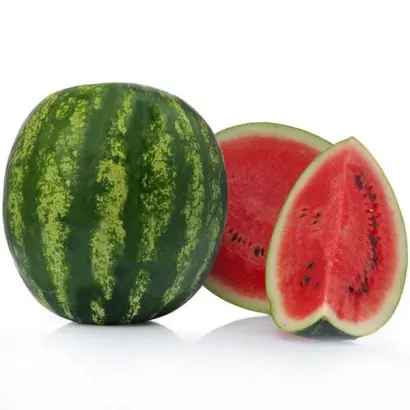 LEONARDO / ЛЕОНАРДО