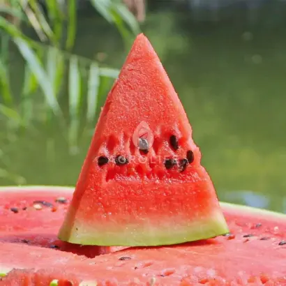 Marakesh / Маракеш