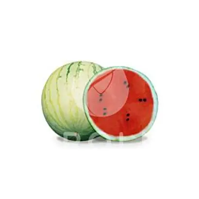 Minipol / Мініпул