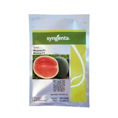 MORENA / МОРЕНА