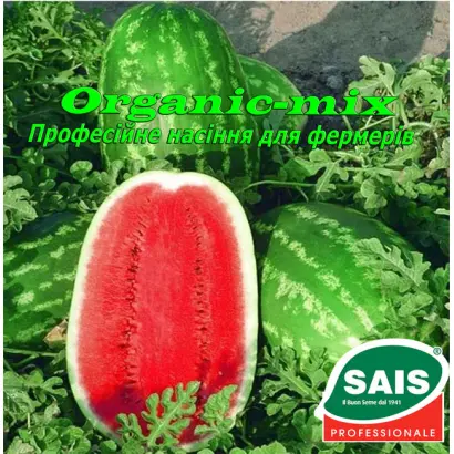 Обрий F1 / Обрій F1