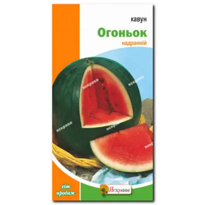 Огонек / Огоньок