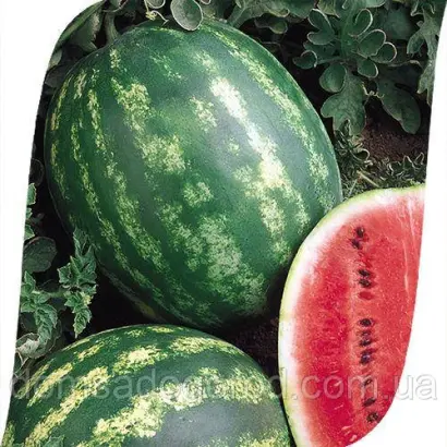 Sunsweet / Сансвіт