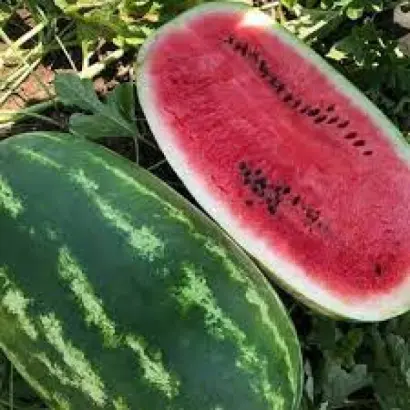 Turbo 840 / Турбо 840