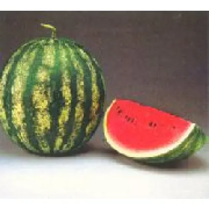 Granit F1 / Граніт F1