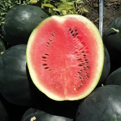 Huelva / Гуелва