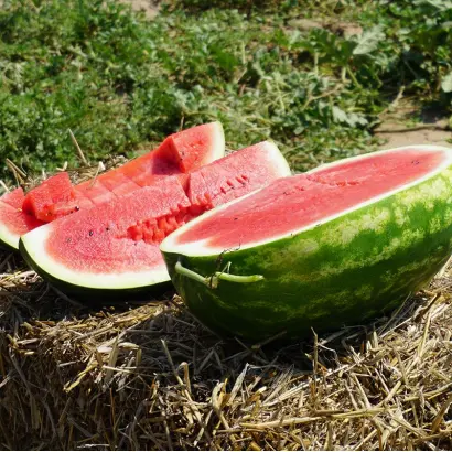 Карминный / Кармінний