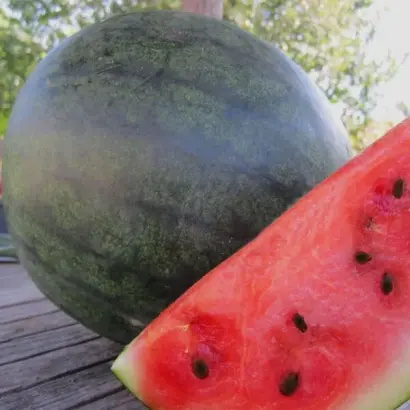 8600732 (Красень) / Красень