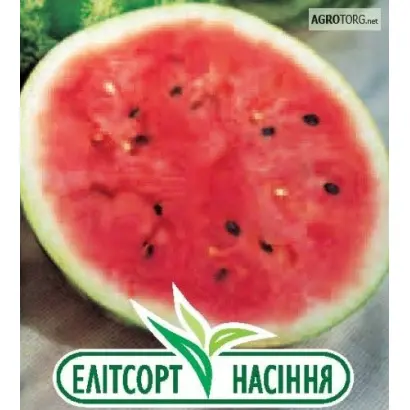 Paradise F1 / Парадіз F1