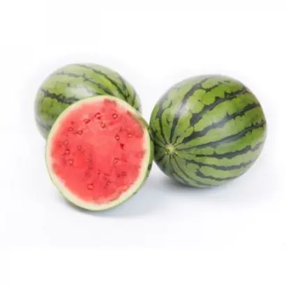 Tigrinho / Тігріньо