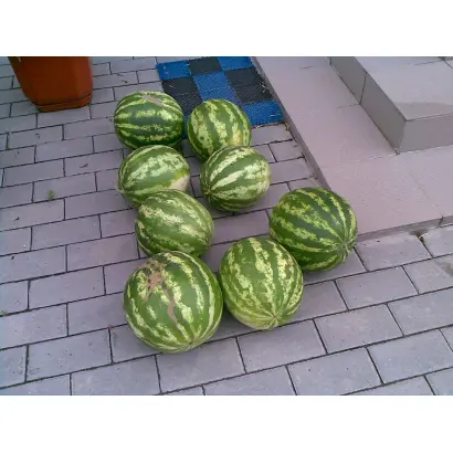 Херсонський