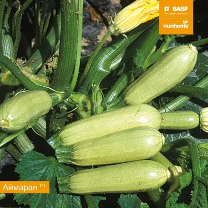 Aymaran / Аймаран