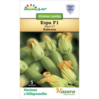 Ezra F1 / Езра F1