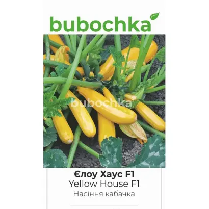 Yellow House / Єлов Хаус