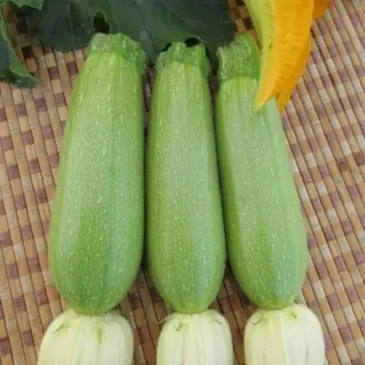 INX 1400 / ІНХ 1400