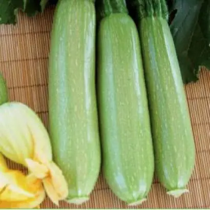 INX 1405 / ІНХ 1405