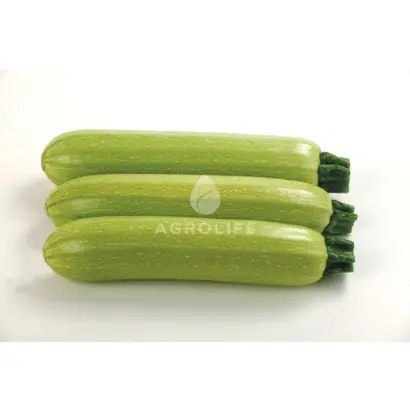 Ismalia / Ісмаліа