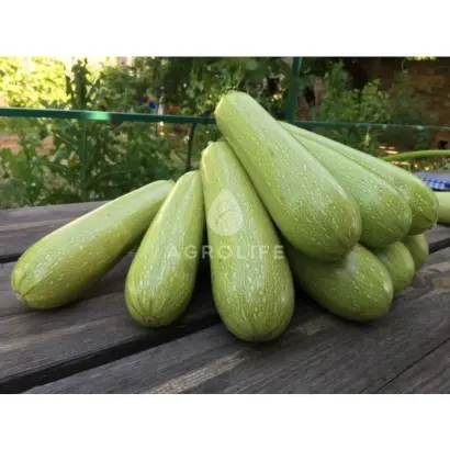 Marcella / Марселла