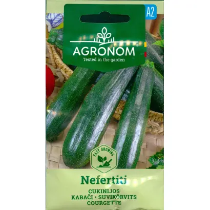 Nefertiti / Нефертіті