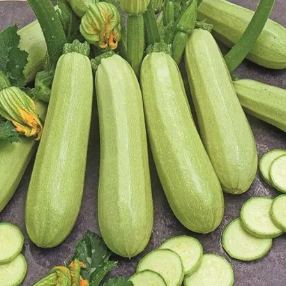 SV8575YL / СВ8575ЯЛ