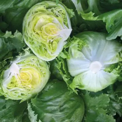 Gonzalo / Гонзало