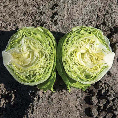 Danilo / Даніло