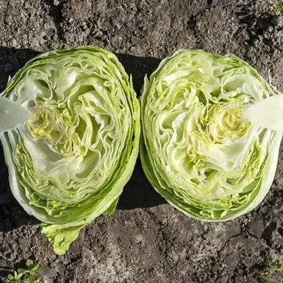 Eduardo / Едуардо