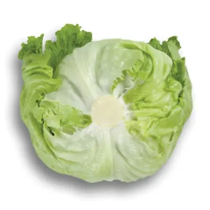 Ikebanas / Ікебанас