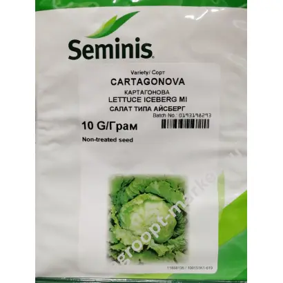 CARTAGONOVA / КАРТАГОНОВА