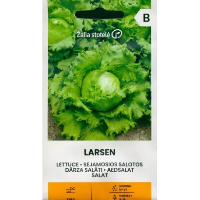 Larsen / Ларсен