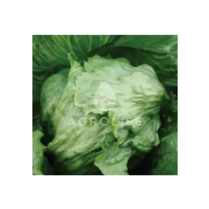 Maugli / Мауглі