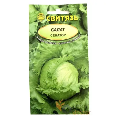 Senator / Сенатор