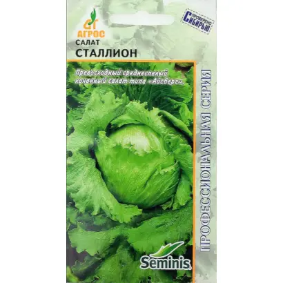 Stallion / Сталліон