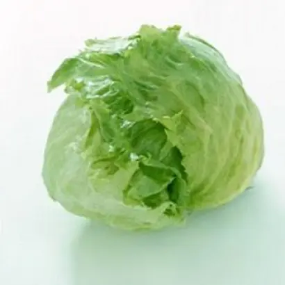 Forrester / Форестер