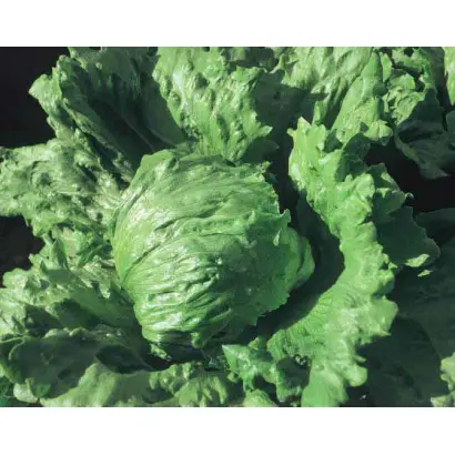 Balmoral / Балморал