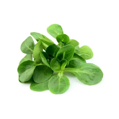 Cornelianas / Корнеліанас