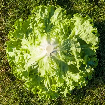 Aveleda / Авеледа