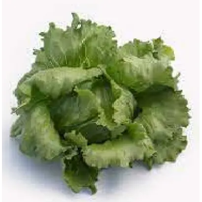 ICE CIRCLE / АЙС СІРКЛ