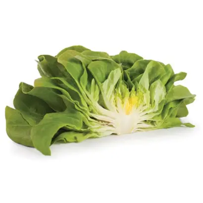 Aquino / Аквіно