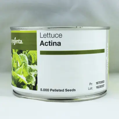 ACTINA / АКТІНА